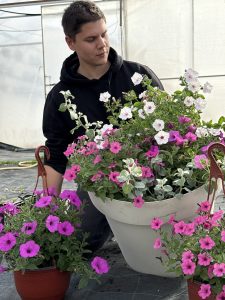 Cvetni roze mix